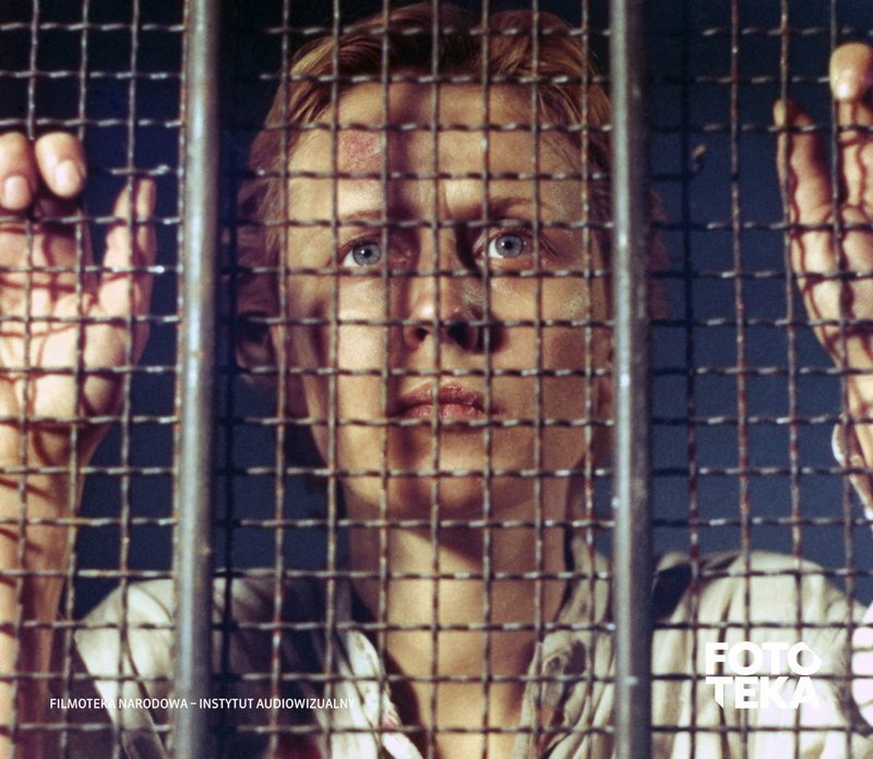 Fotosy do filmu „Przesłuchanie” / Autor: Renata Pajchel / Źródło: FINA