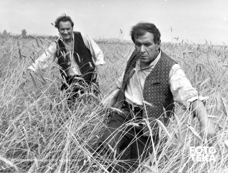 Sami swoi