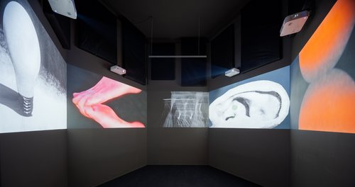 Agnieszka Polska, "Five Shorts Videos", 2012, wideo, Kolekcja Centrum Sztuki Współczesnej – Zamek Ujazdowski, fot. J. Sokołowski