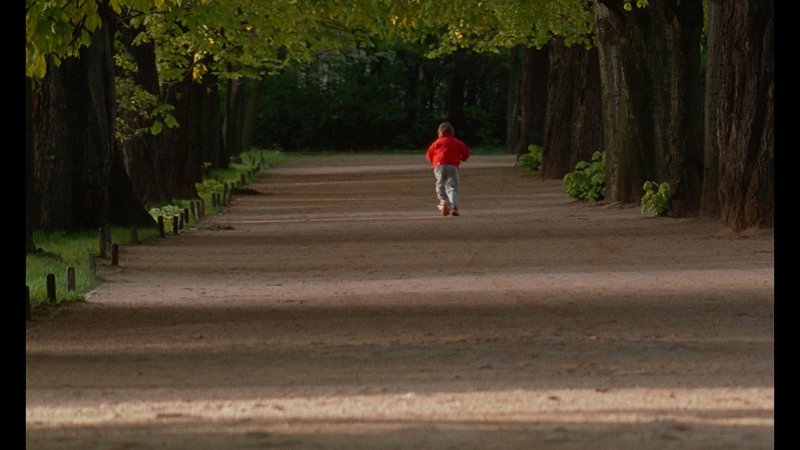 Kadry z filmu „Wszystko może się przytrafić”