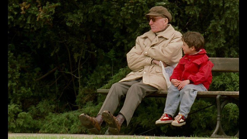 Kadry z filmu „Wszystko może się przytrafić”