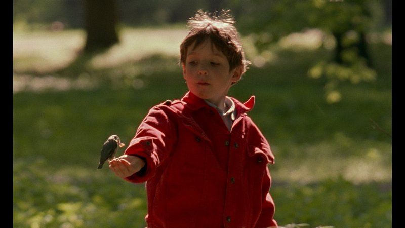 Kadry z filmu „Wszystko może się przytrafić”