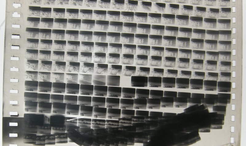 Kadry z filmu / Fot. Monika Supruniuk / FINA